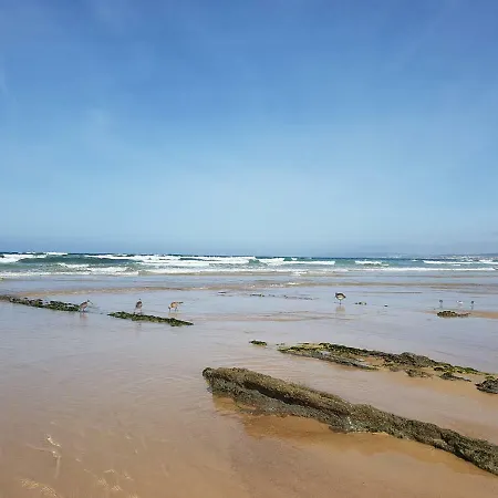 Silver Coast - Casa Da Ilha Holiday home Baleal