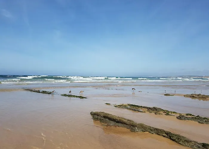 Silver Coast - Casa Da Ilha בית נופש בליאל